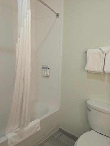 Holiday Inn Express Hotel & Suites Loveland by IHG in Loveland, USA