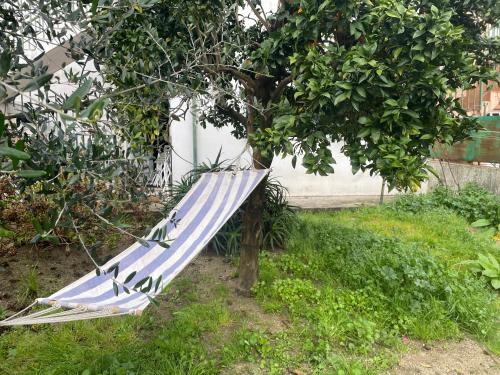 Apartment with balconies and garden, Amarante (Foto 5)