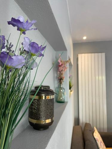 Gites Spa Strasbourg - Villa Cerf - SPA Privé, Sauna, Borne d'arcade, Babyfoot