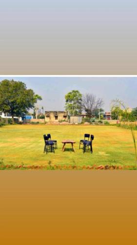 Ranthambore Bagh niwas