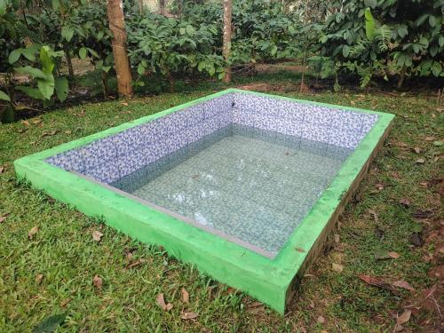 Zwembad, Green Wayanad Homestay in Kenichira