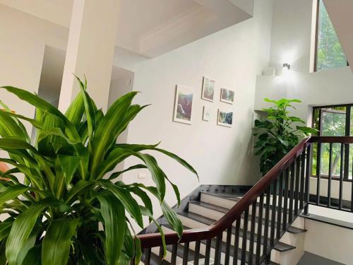 Kieu Anh Hotel Phu Tho in La Phu