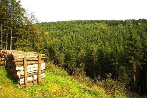 Pension Zueschener Bauernstuben in ซึสเชิน