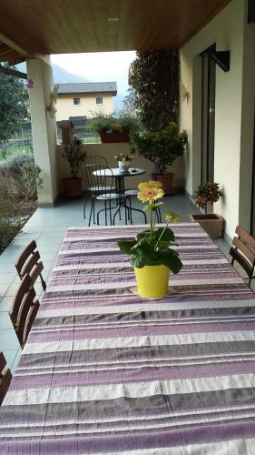 Balkon/terasa, B&B Il Vigneto in Melano