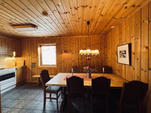 Cozy cabin with stunning views in Ustaoset in Ustaoset