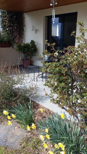 B&B Il Vigneto - image 3