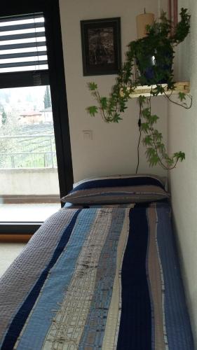 B&B Il Vigneto - main image