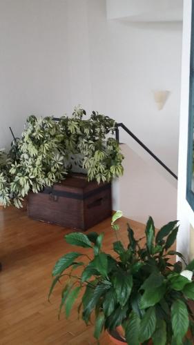 B&B Il Vigneto - image 14