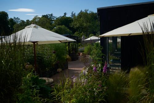 Boath House Hotel - image 12