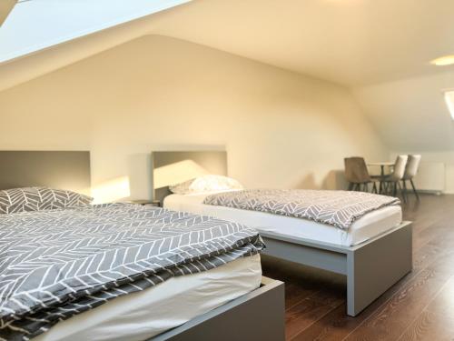 Moderne DG Wohnung in Linkenheim in 埃根斯泰因-列奧波德港