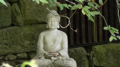 Tienda de Campaña en Ecoaldea Vegana Espiral en Plena naturaleza con comida y cena incluida gîte à louer Passos