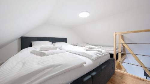 The One, Sun & Snow - Apartment - Rewal