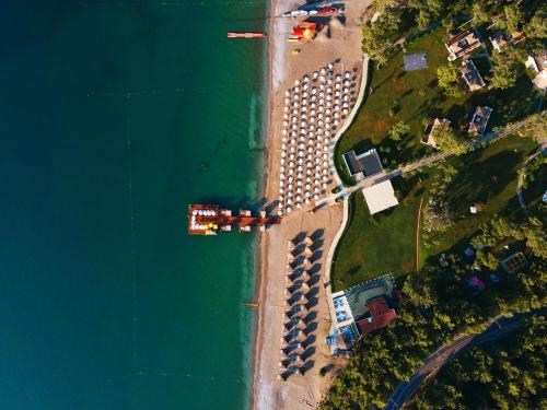 Amara Premier Palace Hotel - image 2