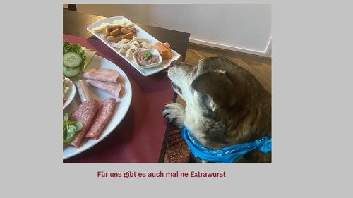 Stadt-gut-Hotel Rheinischer Hof - image 4