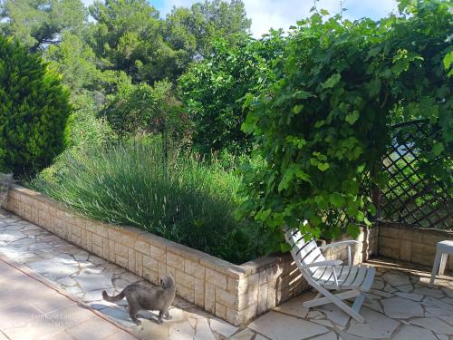 Giardino, Studio dans Villa Don Quijote Nice in Malgarach