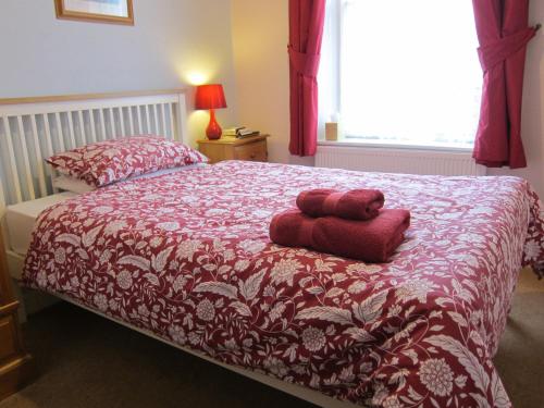 Black Swan Guest House - image 3