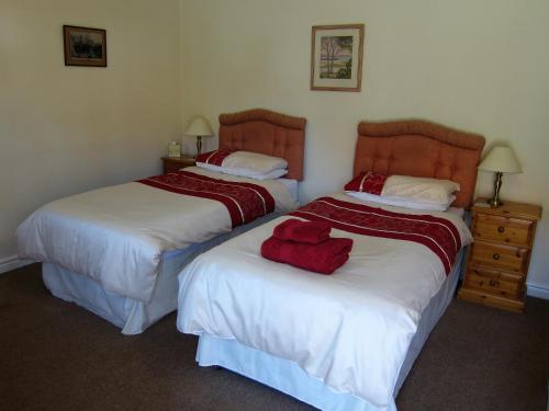 Black Swan Guest House - image 4