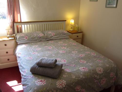 Black Swan Guest House - image 7
