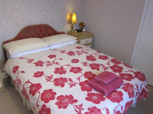 Black Swan Guest House - image 6