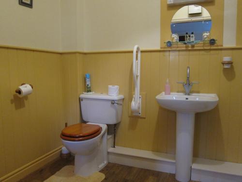 Black Swan Guest House - image 10