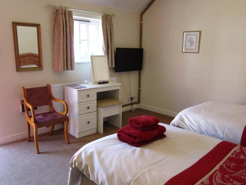 Black Swan Guest House - image 13