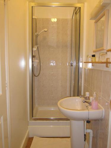 Black Swan Guest House - image 9