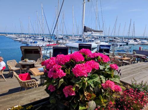 View, Ferienwohnung ADMIRAL in Ostseebad Kuhlungsborn