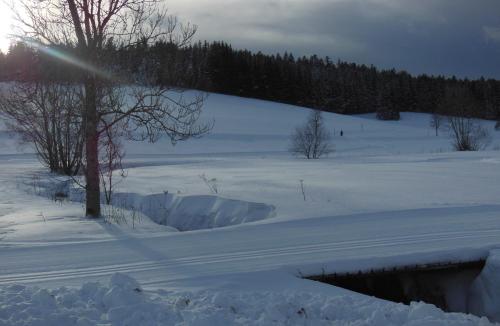 Ferienhaus Kaltenbach
