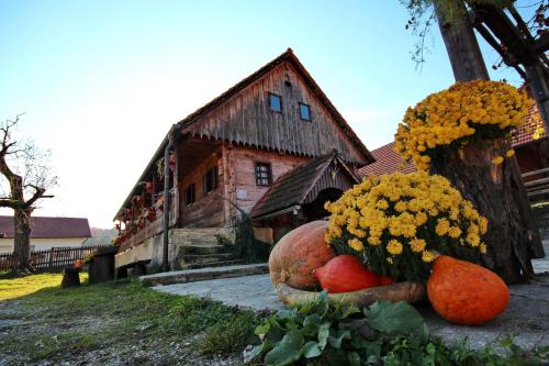 Tourist Farm Pri Martinovih - Hotel - Krška Vas