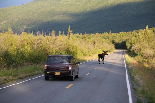 Knik River Lodge