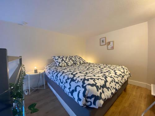 Lespinet BNB - Duplex avec parking, Toulouse (foto 7)