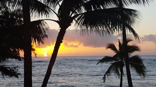 Hotel Coral Reef Hotel Coral Reef is a popular choice amongst travelers in Kauai Hawaii, whether exploring or just passing through. The hotel offers guests a range of services and amenities designed to provide comfort