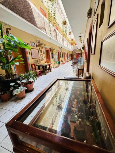 Hotel Janeiro in Guadalajara, Mexico