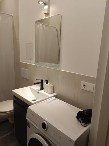 New Gray apartment in the center of Riga, Rīga (photo 5)