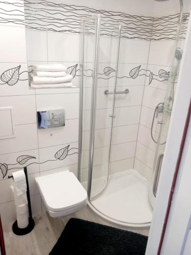 Apartament w centrum