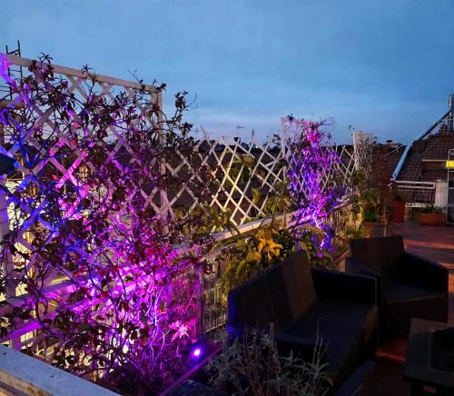 Rooftop Appia antica,silenzioso riservato two bedrooms two bathrooms, Rome (photo 2)
