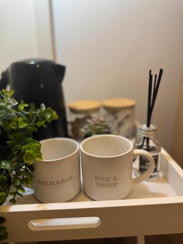 House in Lisburn road near มหาวิทยาลัยควีนส์