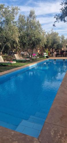 Manzal Lahbab 2Villas 2Bungalows 2Piscines et Jardins - main image