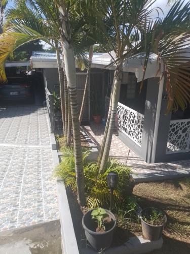 Home Away From Home, Nadi (Foto 7)