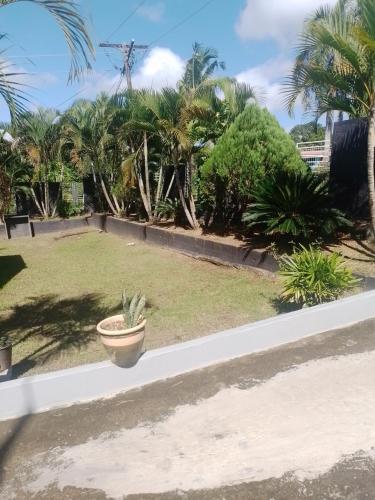 Home Away From Home, Nadi (Foto 6)