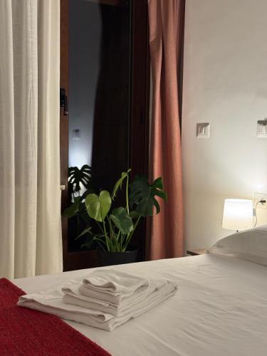 Residenza Piramide, Rome (photo 10)