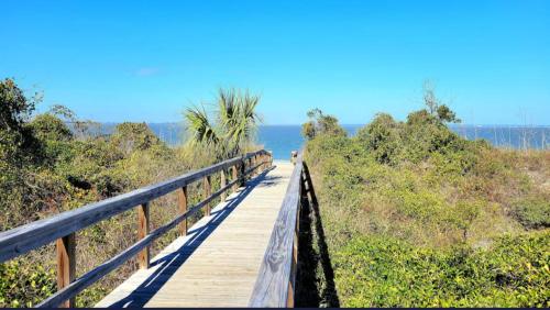 Lazy Shores Lazy Shores