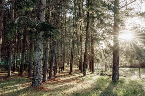 Sandy Hill Forest Tiny Home in Yankalilla