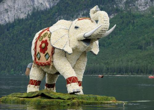 酒店活動, Appartement Hubertus in 黑塔烏