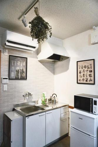 Kitchen, Domus OZONE in Daiko