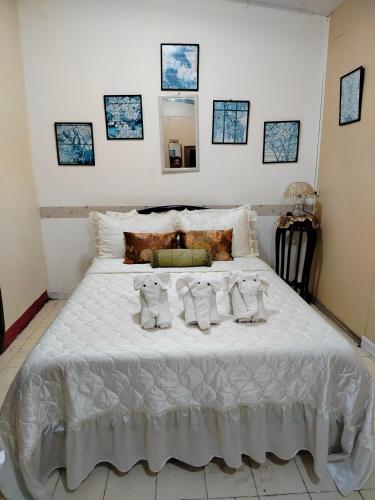 Villa 301 B&B in Baclayon