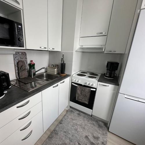 Sky Ivalo near Ivalo repülőtér