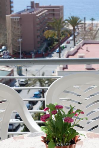 Apartamentos Niza - main image