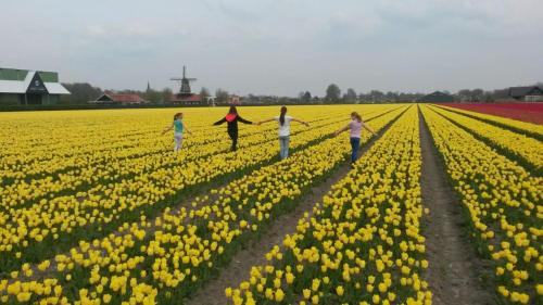 Apartment Vredehof in Sint Maartensbrug