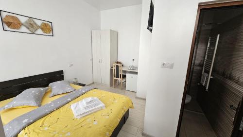 Vila Șaguna 4